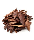 Cascara Sagrada Bark- SupraNail Ingredient